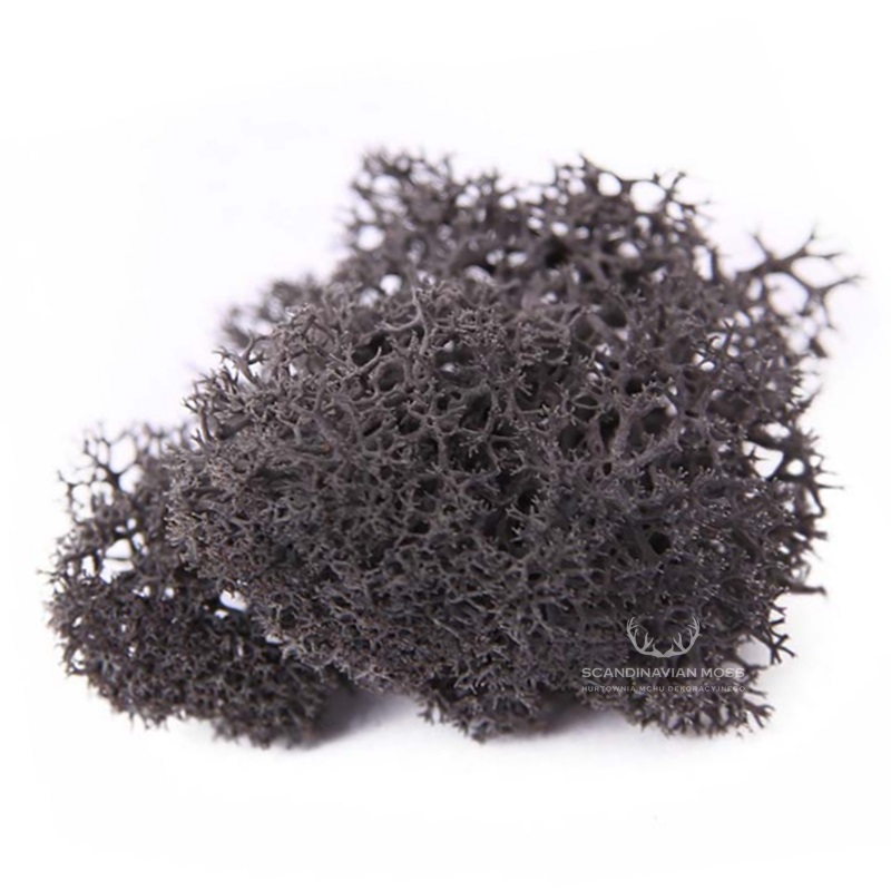 Reindeer Moss 5 kg Dark Gray, Purified, Norwegian, 100 Real, Natural. For decoration and moss